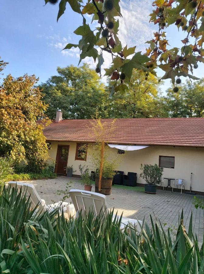 Dream Horse Apartman Cserkeszolo Exterior photo